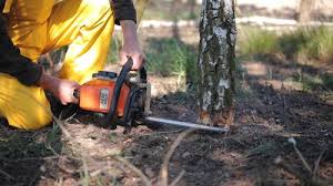 Best Aeration Services  in Franklin, VA