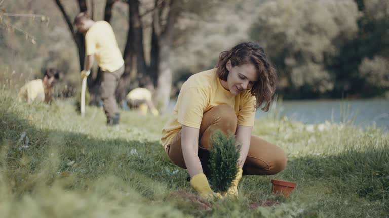 Best Lawn Drainage Solutions  in Franklin, VA